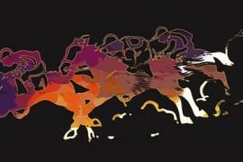 Ставки на скачки как вывести деньги