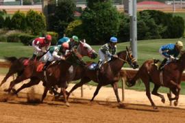 Успех в скачках