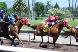 Скачки как источник дохода