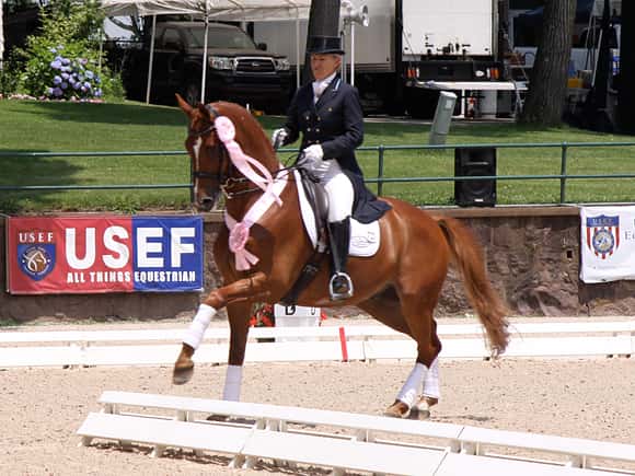 British Horseracing Board
