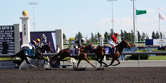 Победы секретариата