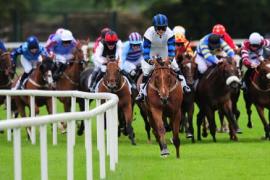 Лошади с формой C и D