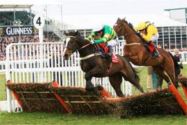 Стратегия ставок на скачки Портфель