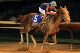 Ставки на лошадей с плохой формой