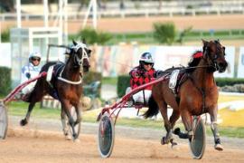 Сезоны лошадиных скачек