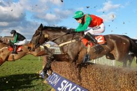 Что такое форма лошадей