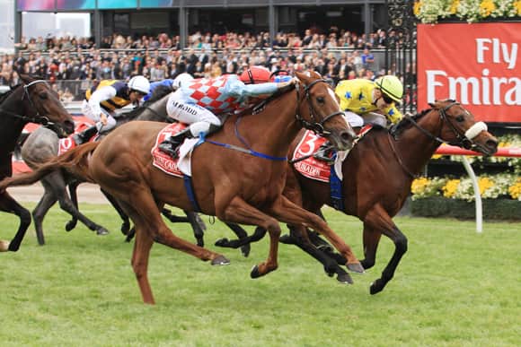 Австралийские скачки