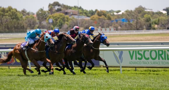 Австралийские скачки