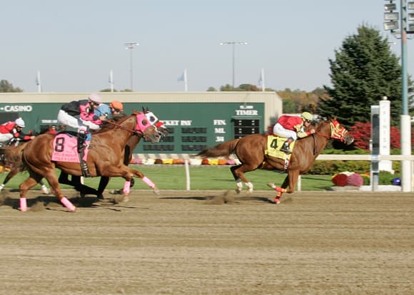 Америка дает много возможностей для заработка!