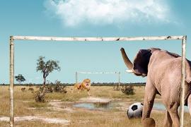 Правила футбола