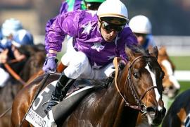 Ставки на лошадиные скачки