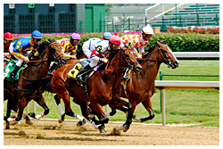 Ставки на лошадиные скачки