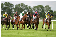 Ставки на лошадиные скачки