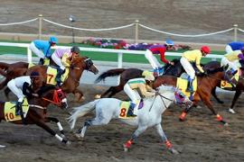 Стратегия ставок на лошадиные скачки от Марии