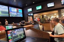 Преимущества онлайн букмекерских контор