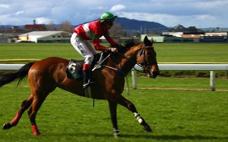 Ставки: ошибки новичков