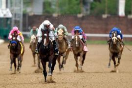 Ставки на спорт быть в плюсе