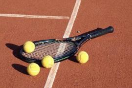 Прогнозы на теннис