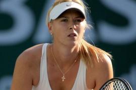 Шарапова ставки