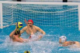 Ставки на водное поло