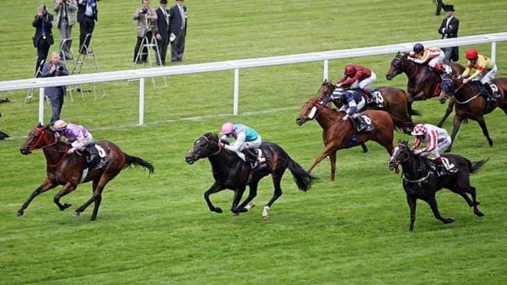 Тотализатор на скачках