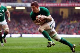 Ставки на регби