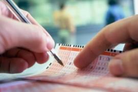 Ставки на спорт для начинающих