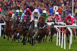 Скачки Cheltenham