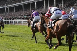 Cheltenham Festival скачки