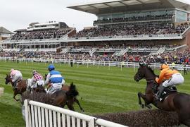 Grand National скачки