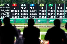 Обзор тотализаторов России