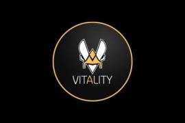 Vitality Team лого команды