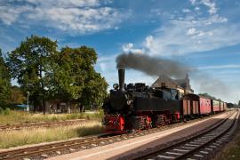 паровоз в ставках на спорт