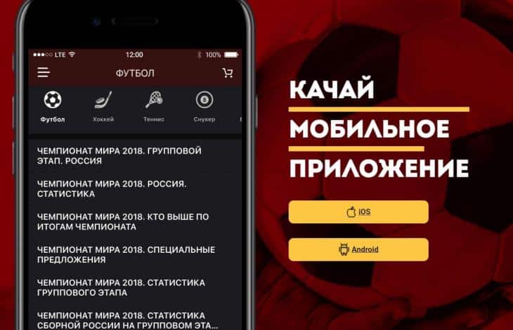 описание ПО олимп