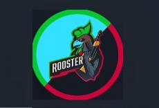 Rooster - FURY прогноз
